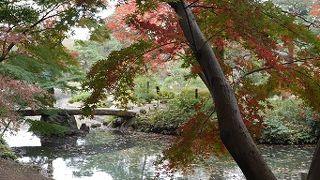 小振りだが風情ある石橋