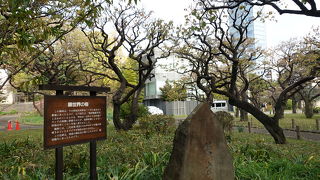 移設された梅林