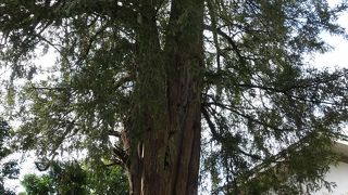 港区の指定文化財です