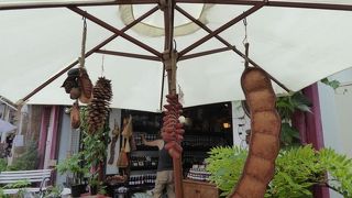 世界中から集めた木の実