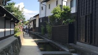 鯉に餌をあげられます。(100円)