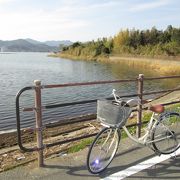 サイクリングで訪れた野地城址