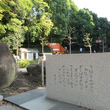 右前方からの様子 (後方は動物園通り向こう側の駐車場など)