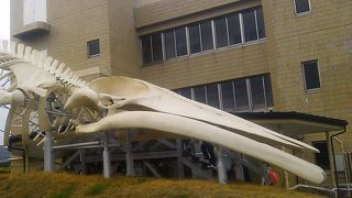 ちょっと寄り道には最適です。