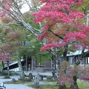 深い自然の中にある大本山