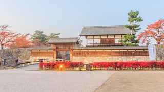 夜の紅葉がきれいでした