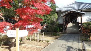 国宝障壁画を近くでじっくりと独り占め