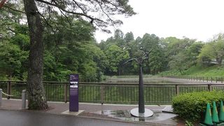 森の緑が水面に映る様は趣がありました。