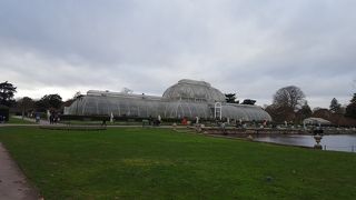 木枯らしの吹く冬は寒々しかった