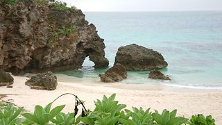 見どころいっぱい