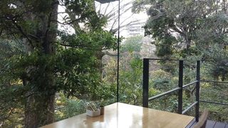 緑に囲まれたカフェ