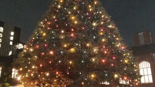 美しいキャンパス