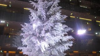 すっかりクリスマスモードで、大きなツリーがありました