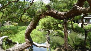 素晴らしい大名庭園♪