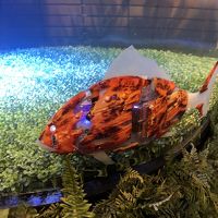 ロボット魚