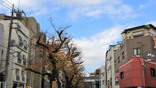 都立大学駅以南の緑道を散策