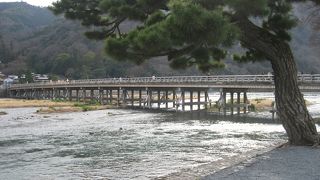 人力車で回るのもよい