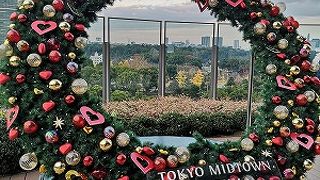 特徴はよく分からない