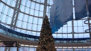 鳥取コナン空港行きのANA便で利用しました!!