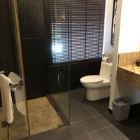 バスタブはないが、シャワーブース、トイレと広い