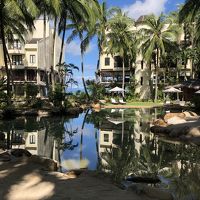 ロビー横の中庭