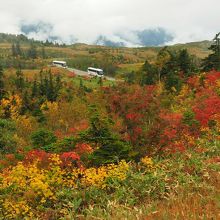 弥陀ヶ原から見たアルペンルート