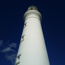 この上が展望台