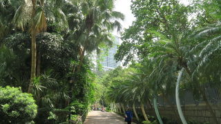 台風被害でほとんどクローズ