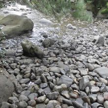 川岸だと思うでしょう。違います。