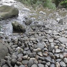 水が迫ってくる瞬間です。