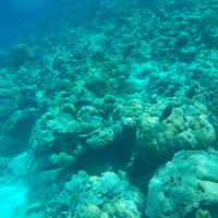 絶景シュノーケル