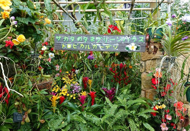 県立相模原公園 クチコミ アクセス 営業時間 相模原 フォートラベル