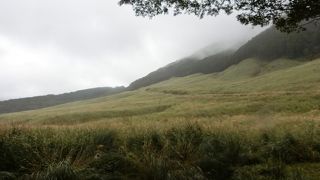 言わずと知れたススキの名所。