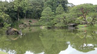 六義園の中心です