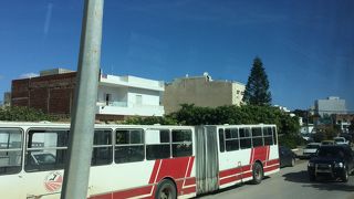 珍しくトレーラーバスです