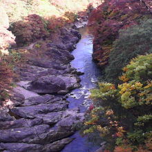 10月末で紅葉が進みつつありました