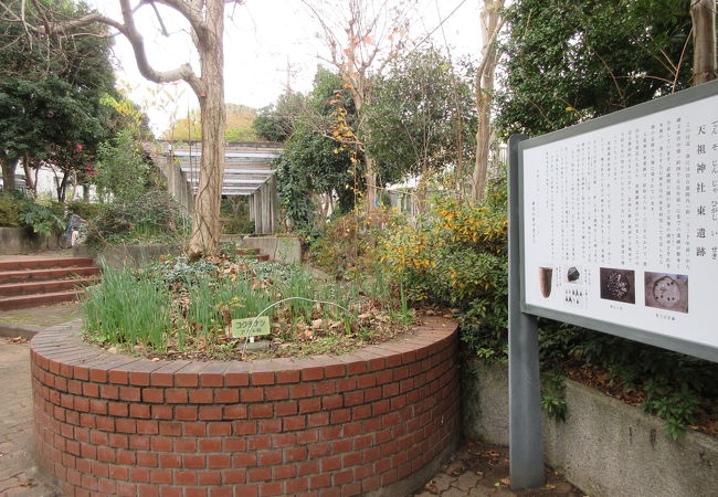 天祖神社東遺跡