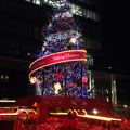 Aoyama Christmas Circus by avex group