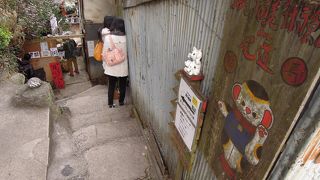 小路と猫と民家