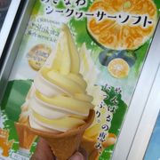 シークワーサーソフトが美味しかった