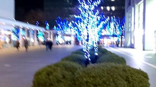 イルミネーション