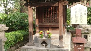 願いを一つだけ叶えてくれる