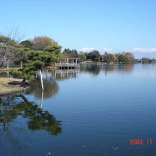 大塚池公園の風景