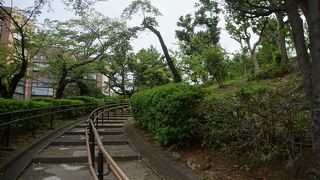 公園に入ってからでも平地にはなかなかたどり着けません