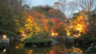 ライトアップが良かった