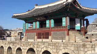 水原川の北水門は緑が鮮やかでした