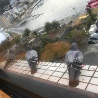 レストランからの眺め