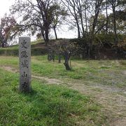 第19代允恭天皇として陵墓参考地にとされているが