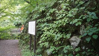 伊香保が一般客の利用の温泉となったと考えられる最初の宿跡