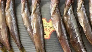 ししゃもの名店